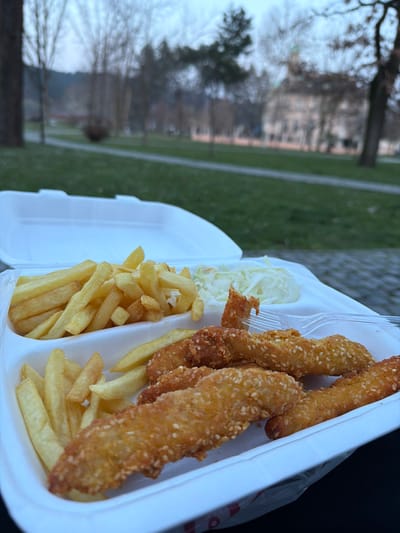 The image depicts an open, white, hinged Styrofoam takeout container filled with food, positioned in the foreground of an outdoor park scene. The container contains a large portion of golden-brown french fries on the left, a serving of shredded white cabbage or coleslaw in the center, and multiple elongated, golden-brown fried items coated with sesame seeds on the right, consistent with chicken tenders. A translucent plastic fork is partially inserted into one of the sesame-crusted items. The container rests on an indistinct dark surface.
The background, significantly blurred, shows a public park characterized by green grass and numerous bare deciduous trees, suggesting late autumn or early spring. In the far right background, a prominent architectural structure is visible: a multi-story building with a distinctive greenish dome or roof, consistent with historical Austro-Hungarian architecture. This building is the Soli Palace (also known as the District Building or Austro-Hungarian Building), located in Gradski Park in Tuzla, Bosnia and Herzegovina. The sky appears overcast or twilight, contributing to soft, diffused lighting. No individuals or human actions are discernible within the frame.