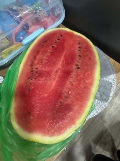 The image depicts a halved watermelon resting on a green plastic bag. The watermelon has a bright red flesh with numerous black seeds visible. The rind is green with a yellowish-white underlayer. Next to the watermelon is a blue plastic container filled with various items. The background includes parts of a grey object and wooden flooring.
I cannot determine any information from this image related to the city of Lehchevo, Bulgaria.
