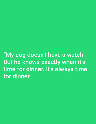 The image is a photograph of a white text overlay on a bright green background. The text reads: "My dog doesn't have a watch. But he knows exactly when it's time for dinner. It's always time for dinner." There are no people, subjects, objects, actions, interactions, or environmental details visible in the image. The location of Kępno, Poland is not relevant to this image.