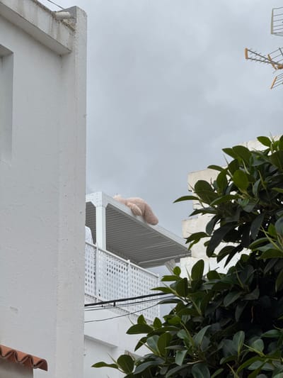 The image shows a teddy bear lying on its stomach on a corrugated metal roof, leaning against a white railing. The teddy bear is light brown and appears to be made of plush material. It is positioned on a section of the roof that is elevated above a white building. Above and to the right of the teddy bear, lush green leaves from a tree hang down, obscuring parts of the structure.

In the upper left of the frame, a portion of a metallic structure, possibly an antenna or weather vane, is visible against an overcast sky. The overall scene depicts an outdoor setting on what appears to be a cloudy day. The buildings are white and seem to be part of a residential or commercial area. The presence of the teddy bear suggests a playful or whimsical element in an otherwise ordinary rooftop view. The lighting is diffused, indicating it is likely daytime, but the cloudy conditions prevent strong shadows. The image is shot from a low angle, looking upwards at the scene. No text is visible in the image.