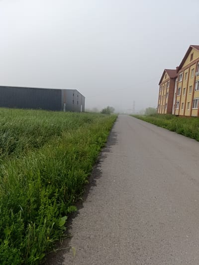 The image captures a rural road on a foggy day in Tugulym, Russia. On the right side of the road, a multi-story brick apartment building with yellow facades and red roofs is visible, featuring numerous windows. To the left of the road, a long, dark, industrial-style building with a metal facade stands adjacent to a field of tall green grass. The road itself is paved and curves slightly into the distance, where the fog obscures further details of the landscape, though faint outlines of structures and possibly utility poles can be discerned. The sky is overcast and appears a uniform, light gray due to the fog. The vegetation consists of overgrown green grass and some smaller bushes. No people are present in the image.