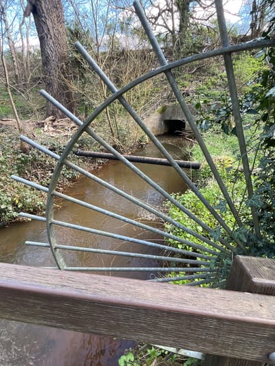 The scene depicts a stream in the Borough of Runnymede, United Kingdom, viewed from a wooden bridge. In the immediate foreground, a dark brown, textured wooden bridge railing runs horizontally across the bottom right of the frame. Directly beyond this railing, a grey metal decorative grate or barrier, composed of radial bars forming a partial wheel or sunburst pattern, extends upwards and across the midground.
Through the metal grate, a murky, brown-tinged stream flows from left to right, passing under a concrete culvert structure in the distant background. A dark, possibly metal or plastic, pipe rests horizontally across the stream's surface, positioned upstream from the culvert opening. Debris, including logs and branches, is visible along the stream banks and within the culvert's entrance.
The stream banks are heavily vegetated with various plants; green ivy with distinct leaves clings to the right side, while the left bank features bare deciduous trees and undergrowth in shades of brown and green. A large, gnarled tree trunk stands prominently on the left bank. In the upper background, beyond the culvert and vegetation, a fence line is visible on an elevated bank, and patches of bright blue sky are discernible through the bare tree branches. The overall environment appears natural and somewhat overgrown, illuminated by natural daylight. No individuals are present in the image.