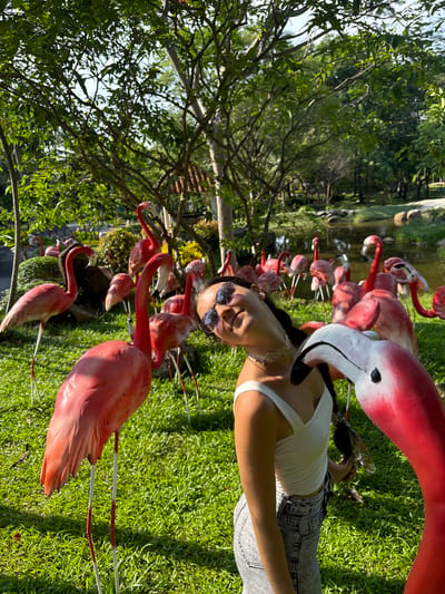 In an outdoor setting resembling a park or garden, a young woman with dark braided hair and sunglasses is positioned among numerous pink flamingo statues. She is wearing a white tank top and acid-wash jeans, and a delicate white choker necklace. Her head is tilted back, and she is looking upwards with a smile, her face partially obscured by the head of a large flamingo statue in the foreground. The flamingo statues are scattered across a lush green grassy area, with some appearing in the background near a body of water and trees. The environment is sunny with dappled light filtering through the trees, suggesting a daytime scene. The location is identified as the city of Thuận Nam, Vietnam.
