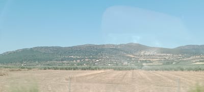 This image depicts a rural landscape with a clear blue sky. In the background, a long, undulating mountain range is visible, covered in dense green vegetation and sparse rocky outcrops. Scattered across the lower slopes of the mountains are small clusters of white buildings, suggesting the presence of a village or settlement. In the middle ground, a line of green trees, likely olive trees, forms a distinct horizontal band. The foreground consists of a dry, harvested field, characterized by stubble and dry grasses. The scene suggests a warm, sunny day in a Mediterranean agricultural region, possibly in the outskirts of Mérida, Spain, given the terrain and vegetation commonly found in the area. There are no people or animals visible in the image.