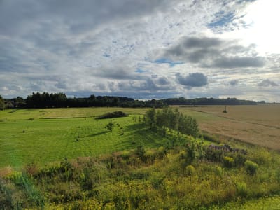 An aerial perspective captures a rural landscape under a dynamic, cloud-filled sky. The foreground is dominated by a vibrant green meadow, interspersed with wild grasses and yellow wildflowers. A cluster of trees stands in the mid-ground, casting distinct shadows across the lawn. Beyond the meadow, a field of golden wheat stretches towards a distant tree line. A small, light-colored house with a dark roof is visible on the far left, nestled amongst the trees. The scene is devoid of any human presence. The image appears to have been taken on a bright, possibly overcast day, given the presence of both sunlight and heavy clouds.