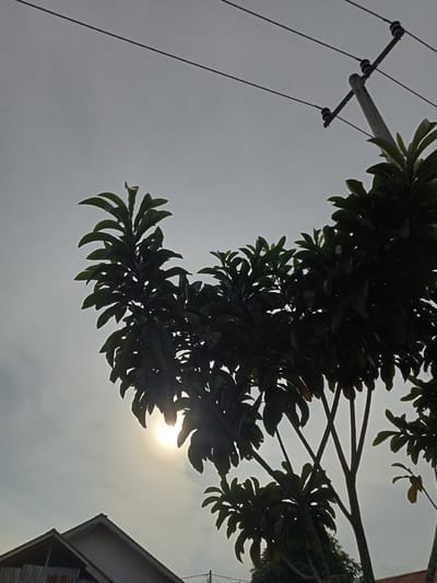 A low-angle shot captures a silhouette of a tree with large, dark green leaves against a bright, overcast sky. The sun is visible, peeking through the branches, casting a soft glow. In the background, a utility pole with electrical wires stretches across the frame, and the peaked roofs of two houses are visible at the bottom left. The scene appears to be located in Teluk Kenidai, Indonesia, where the sky suggests it is either early morning or late afternoon. There are no people or animals present in the image.