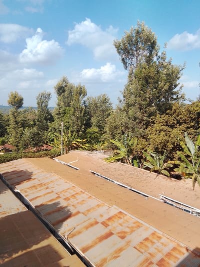 This image captures an elevated daytime view of Karingani ward, Kenya, under a clear blue sky with scattered white cumulus clouds. In the foreground, the corrugated metal roofs of at least two structures are visible, exhibiting significant reddish-brown rust and weathering; shadows are cast across the primary roof from the left. Beyond these roofs, a horizontal expanse of reddish-brown, dirt-like ground features white linear structures, possibly drainage pipes or gutters. The midground is characterized by several banana trees with large green leaves, interspersed among other diverse green trees and foliage. A light-colored utility pole with electrical wires is visible within this vegetation. Further in the background, a dense canopy of varied green trees forms the horizon line, with glimpses of additional residential roofs visible amongst the foliage. No people, active subjects, or explicit interactions are discernible within the scene.