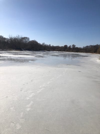 The image displays an expansive outdoor scene in Сапоцкінскі сельскі Савет, Belarus, dominated by a frozen body of water under a clear, bright blue sky. The foreground consists of a flat, reflective ice surface with visible footprints and tracks. In the midground, the ice extends across the frame, with areas exhibiting slight surface melting or wetness. Several indistinct human figures are discernible in the distance on the ice, appearing as small, dark silhouettes. The far bank of the water body is lined with a dense array of leafless deciduous trees. The scene is illuminated by strong natural light, characteristic of a winter or early spring day.