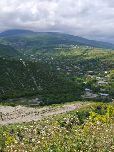The image depicts a scenic landscape in Kvemo Nichbisi, Georgia, characterized by rolling green hills, a winding road, and a small village nestled within the valley. In the foreground, a cluster of wildflowers, mostly white and yellow, adds a touch of natural beauty. The road, a dark asphalt surface, curves gracefully through the terrain, with a distinct hairpin turn visible. The hills are densely covered in lush green vegetation, with patches of lighter green indicating cultivated areas or sparser foliage.

The village, scattered across the slopes and the valley floor, consists of numerous small houses with red or dark-colored roofs, interspersed with trees. The architecture appears traditional, with simple structures that blend into the natural surroundings. The environment is predominantly rural, with a sense of tranquility and isolation.

In the background, larger mountains rise, their peaks shrouded in soft, gray clouds, suggesting a potentially overcast or changing weather. The overall impression is one of natural beauty and rural life, typical of the Georgian countryside. There are no people visible in the image, and the scene is static, focusing on the landscape and the built environment within it. The lighting is soft, possibly indicating an early morning or late afternoon, given the diffused light and absence of harsh shadows.