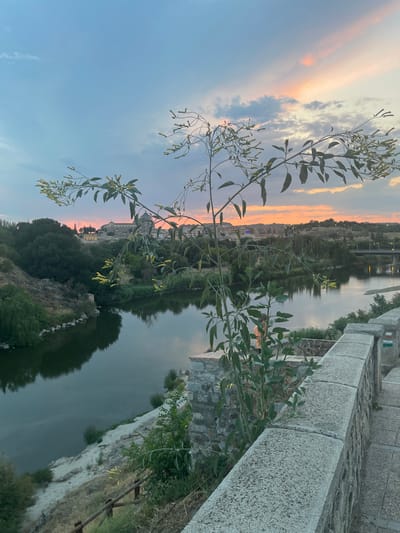 A serene dusk scene unfolds over the Tagus River in Toledo, Spain, with a single, slender plant with delicate yellow buds in the foreground, its branches reaching towards the horizon. The river, a dark, placid mirror, reflects the softening twilight sky and the distant, ancient cityscape. Hills covered in lush green trees and scattered structures rise on the opposite bank, leading to a cluster of buildings that comprise Toledo's historic heart.
In the middle distance, a concrete bridge with illuminated lampposts spans the river, hinting at modern life amidst the historic setting. The sky above is a canvas of soft blues and grays, punctuated by streaks of warm, peachy-pink from the setting sun, which casts a gentle glow over the entire landscape.
A stone wall, weathered and textured, runs along the right side of the frame, forming a boundary between the viewer and the river below. A paved walkway is visible beside the wall, suggesting a public viewpoint. A lone figure, partially obscured by the foreground plant, stands near the wall, observing the tranquil panorama. The overall impression is one of peaceful contemplation, capturing a fleeting moment as day transitions into night.