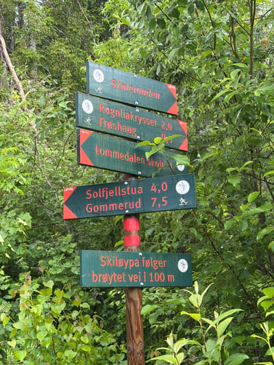 The image shows a wooden signpost with multiple directional signs in a forest environment. The signs are green with red lettering and red arrow indicators. They are located in Lommedalen, Norway. The signs indicate directions and distances to various locations:

*   **Skolerunden** (School round) with a right arrow.
*   **Rognliakrysset 2,0** (Rognlia intersection 2.0 km) and **Frøshaug 9,5** (Frøshaug 9.5 km), both with right arrows.
*   **Lommedalen skole 1** (Lommedalen school 1 km) with a right arrow.
*   **Solfjellstua 4,0** (Solfjellstua 4.0 km) and **Gommerud 7,5** (Gommerud 7.5 km), both with right arrows.
*   **Skiløypa følger brøyutet vei i 100 m** (The ski trail follows the plowed road for 100 m) with a right arrow.

Each sign also features a circular emblem, some with a hiker symbol. The signpost itself is made of wood, and the lower part of the post is painted with red and white stripes. The background is filled with dense green foliage, characteristic of a forest, with trees and leafy branches. The lighting suggests it is daytime, with a slightly overcast or diffused light. No people are visible in the image.