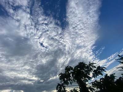 This is a medium shot, from a low angle, of a dark silhouette of a papaya tree against a bright, cloudy sky in Ufu Esioni, Nigeria. The sky is predominantly blue with a mix of wispy white clouds and larger, darker gray clouds. The sun is not directly visible but its bright light illuminates the clouds from behind, creating a dramatic contrast. The leaves of the papaya tree are large and lobed, characteristic of the fruit. The leaves are silhouetted against the sky, obscuring much of the detail of the tree's branches. The overall mood is one of natural beauty and perhaps the approaching end of the day, given the dramatic lighting. There is no visible text.