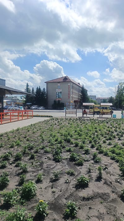 The image shows a street scene in Kuybyshev, Russia, on a cloudy day. In the foreground, a tilled flowerbed with small green plants and a single yellow flower is visible. A paved walkway with an orange railing runs along the left side of the flowerbed. Beyond the walkway, a street with parked cars and a few pedestrians is visible. A large, multi-story building with a red-tiled roof dominates the background. The building has signs in Russian, including "ГОСТИНИЦА" (HOTEL). Two yellow buses are parked in front of the building, and people are sitting on benches at a bus stop. Trees are scattered throughout the scene, and the sky is filled with dramatic white clouds.