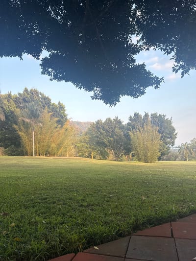 The image depicts a grassy lawn bordered by brick pavers on the right edge. In the background, trees line the perimeter of the lawn. Some trees are obscured by the dark canopy of a large tree in the left foreground. The horizon line is visible with a slight incline of the surrounding terrain. The image was taken in San Pablo Coapan, Mexico. No people are visible.