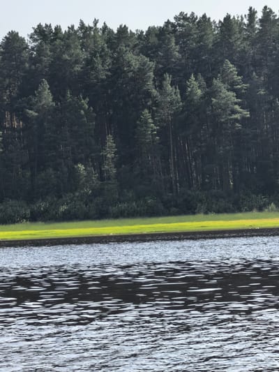 This media file depicts a serene natural landscape, likely during the daytime under clear or lightly overcast skies. The scene is divided into three distinct horizontal bands. The foreground is dominated by a body of water, exhibiting gentle ripples that reflect the light, creating a pattern of dark and light streaks across the surface.
Immediately beyond the water, a strip of vibrant green grass forms a bright, lush shoreline. This is bordered by a dense forest of tall, dark green pine trees that extend upwards to meet the pale sky. The trees are closely packed, creating a wall of foliage with individual trunks and branches visible. The overall impression is one of tranquility and the untouched beauty of nature. The location is identified as Sysert, Russia. No people, objects, text, or specific activities are discernible. The scene evokes a sense of peace and quietude.