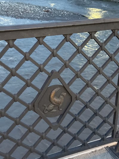 The image shows a close-up of a dark metal lattice gate. The lattice is made of intersecting diagonal bars forming diamond shapes. At the center of the frame, within one of these diamond shapes, is an embossed metallic emblem. The emblem depicts a mythological creature, possibly a griffin or a winged lion, rendered in a coppery or golden hue. The creature is depicted in profile, with one wing extended upwards.

Behind the lattice, a translucent or textured surface is visible, reflecting light in streaks of yellow and blue. The texture of this surface appears somewhat rough and watery, suggesting it might be frosted glass, a water feature, or possibly a rippling water surface. To the left of the gate, a textured, granular surface is visible, which could be a stone or concrete pathway.

The overall lighting suggests it is daytime, though the specific time is not discernible. The lighting also creates reflections and shadows on the lattice and the background surface, adding depth to the image. There are no people or animals present in the frame. The scene appears to be an architectural detail, possibly part of a decorative fence, gate, or window covering. The metallic emblem suggests an element of artistry or symbolism. No visible text is present in the image.