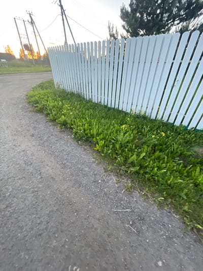 This media file depicts an outdoor scene in Bol'shoe Zaborod'e, Russia. The primary subjects are a white picket fence, lush green grass, and a gravel pathway. The fence runs horizontally across the frame, creating a strong visual line. Adjacent to the fence, the grass is dense and appears slightly wild, with small yellow wildflowers interspersed within it. The pathway occupies the right side of the image and is composed of small, dark grey gravel.
In the background, on the left side of the image, a large tree with dark green foliage is visible, partially obscuring the sky. The sky itself is bright and appears hazy, suggesting it might be early morning or late afternoon. The lighting indicates a low sun angle, casting long shadows and contributing to a soft, diffused light across the scene. There are power lines and poles visible in the distance, suggesting a rural or semi-rural residential area. The overall impression is one of a tranquil, natural setting, possibly a yard or the edge of a property. There is no visible text in the image. The time of day is likely around sunset or sunrise, given the low angle of the sun and the soft lighting. The weather appears to be clear and calm.