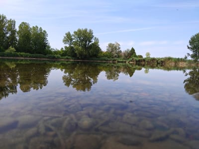 This is a low-angle, wide shot of a calm river on a clear day. The foreground shows the riverbed with visible stones beneath the clear water. The water reflects the trees and the pale blue sky with wispy clouds. A lush green tree line borders the opposite bank, with a variety of deciduous trees and some reeds. The scene appears to be a natural setting, likely a river or a large canal, in a rural or semi-rural area. The location is not specifically identifiable as being within the city of Modena, Italy, as there are no distinct Modena landmarks or cityscapes visible. The image captures a peaceful, natural landscape.