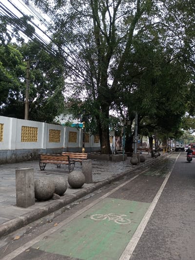 The image depicts a street scene in Vaatharawattai, Sri Lanka, captured from a low angle looking forward along a sidewalk and an adjacent road. The foreground features a concrete sidewalk containing two rectangular concrete bollards and three spherical concrete bollards. Two empty wooden park benches with black metal frames are positioned behind these bollards. Adjacent to the benches, a low white wall with recessed rectangular sections containing yellow square grid patterns extends along the sidewalk.
Multiple large trees with extensive green foliage line the sidewalk, obscuring parts of the structures behind them. Overhead, numerous utility wires crisscross against an overcast sky, originating from visible utility poles. A black, ornate streetlight with multiple lamp arms is visible between the trees.
To the right of the sidewalk is a paved asphalt road. A dedicated bicycle lane, painted green with a white bicycle symbol, is present on the road. The road surface appears damp in patches. A person wearing a helmet is riding a red motorcycle away from the viewer in the road's right lane. Further down the street, parts of a white truck and a red car are visible in the distance. The environment suggests an urban or semi-urban setting with infrastructure for both pedestrians and vehicles.