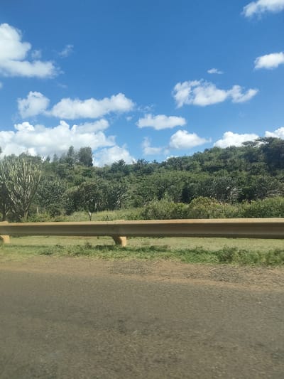The image shows a roadside view in the Kibirichia ward of Kenya. In the foreground is a paved road with a light brown guardrail along the shoulder. Beyond the guardrail is a grassy area with scattered bushes and trees. In the background is a hill covered in dense vegetation, primarily consisting of green trees and shrubs. The sky is blue with scattered white clouds. There is no visible human activity. The scene presents a natural environment adjacent to a transportation route.