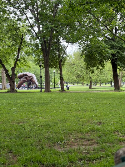 The image depicts a park scene, likely in Boston, USA, featuring lush green grass, mature trees, and a notable bronze sculpture. The sculpture appears to be a large, abstract representation of hands clasping or interacting, positioned prominently in the middle of the frame, and is situated between two trees. Several people can be seen near the sculpture, suggesting it is a point of interest for visitors. The landscape includes lampposts and additional trees receding into the distance, indicating a well-maintained and publicly accessible park. The orientation of the image is vertical.