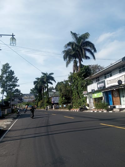 The image depicts a street scene, likely in a town or city, with palm trees and other vegetation lining the roadside. Several motorcycles are visible on the road, indicating vehicular traffic. Buildings with signs and storefronts are present on the right side of the road, suggesting commercial activity. The sky is visible with some clouds. Based on the OCR and the visual elements like signage, palm trees, and building styles, the location is in the city of Phou Khoun, Laos. Specifically, the image captures a portion of the street with various establishments including a restaurant named "Pada Senang", a hotel named "Sindangla", a Canon business, a photocoping establishment named "BRIK POTOCOPY FAMILY GROUP" and "BRIKTASPORT" store. There are also other storefronts present. Overhead, a sign or archway is present with a political or commemorative message. A lamp post is visible on the left. The road has yellow lines marking lanes.