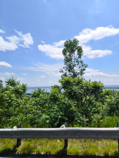 The image shows a scenic view from a higher elevation, overlooking a body of water and a distant shoreline. In the foreground, a silver metal guardrail runs horizontally across the lower portion of the frame, separating the viewer from the vegetation and landscape beyond. Lush green trees and foliage dominate the midground, with a tall, slender tree with a dense canopy standing out prominently. The sky above is a clear blue, dotted with fluffy white clouds. The overall impression is one of a natural landscape, possibly a park or scenic overlook, providing a peaceful and expansive view. The location is identified as Grenville-sur-la-Rouge, Canada.
