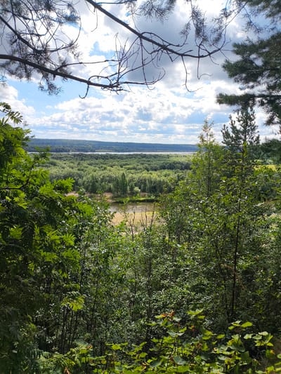 This is a high-angle, full shot of a dense, green forest with a body of water and hills in the distance, under a cloudy sky. The foreground is dominated by lush green foliage, with some branches and pine needles framing the top and sides of the image. The middle ground reveals a body of water, possibly a river or lake, surrounded by more trees. The background shows rolling hills covered in a carpet of green forest. The sky is partly cloudy with patches of blue sky visible. The location is identified as Leshukonskoye, Russia, implying a natural, undeveloped landscape characteristic of the region. There are no people or man-made structures visible in the scene. The overall impression is one of a serene and expansive natural vista.