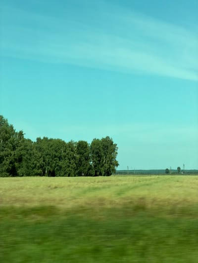 This image shows a landscape with a clear blue sky with faint wispy clouds. In the middle ground, there is a dense line of green trees. In the foreground, there is a blurry field of green grass, suggesting motion. In the far distance, on the horizon, there are a few structures that appear to be power lines or small buildings. The scene is consistent with a rural or semi-rural environment, possibly the outskirts of Bezmenovo, Russia, given the typical scenery of such locations. There are no people or animals visible in the image. The overall impression is of a bright, sunny day in a natural setting.