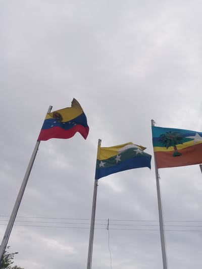 Three flags are prominently displayed on flagpoles against a backdrop of a cloudy, overcast sky. The scene is set outdoors in El Dátil, Venezuela, suggested by the specific flags present.
The leftmost flag is the national flag of Venezuela, characterized by its horizontal stripes of yellow, blue, and red. It features the Venezuelan coat of arms on the yellow stripe and an arc of white stars on the blue stripe.
The middle flag also has horizontal stripes, appearing as yellow at the top, a central band with a light green or white section containing white stars, and a blue stripe at the bottom. This flag is identifiable as the flag of the Venezuelan state of Nueva Esparta.
The rightmost flag is distinctly colored with horizontal stripes of blue at the top, followed by green, yellow, and an orange or brownish-red stripe at the bottom. A prominent green palm tree design is centered on the flag, spanning across the middle stripes, and a single white star is visible on the yellow stripe. This flag represents the Venezuelan state of La Guaira.
The flags are unfurled and appear to be gently waving in a light breeze. Utility lines, possibly power or communication lines, stretch horizontally across the midground between the flagpoles. A small amount of green foliage, likely from a tree or bush, is visible at the bottom left of the image. The lighting indicates daytime, but the sky is entirely covered by clouds, resulting in diffused light.