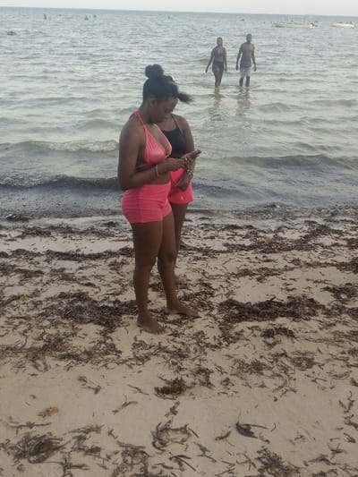 The scene depicts a sandy beach in Shanzu ward, Kenya, heavily interspersed with dark brown organic debris, likely seaweed. In the immediate foreground, two dark-skinned females stand barefoot. The woman on the left wears a shiny pink halter-neck bikini top and matching pink shorts, with her dark hair pulled into a bun. She holds a smartphone in both hands, looking down at the screen. Behind her and slightly to the right, a second dark-skinned female, wearing a black bikini top and pink shorts, is positioned close to the first, also appearing to view the smartphone.
In the mid-ground, the ocean water extends calmly to the horizon. Two dark-skinned individuals are standing waist-deep in the water. The person on the left is a female wearing a dark swimsuit, and the person on the right is a bare-chested male wearing light-colored swim shorts. Both appear to be wading. Further in the background, several indistinct figures are visible in the water, along with a small, light-colored boat on the far right near the horizon. The sky is largely featureless, suggesting a soft, diffused light.