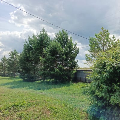 The image depicts an outdoor scene in Orlovka, Russia, likely on a bright, overcast day. The foreground is dominated by a lush green lawn interspersed with various weeds and wildflowers, suggesting a natural or semi-wild environment. A line of mature pine trees runs across the middle ground, their dense foliage creating a textured backdrop. To the right, a large, leafy bush is prominently featured, its vibrant green leaves contrasting with the darker pines.
In the background, a corrugated metal fence is visible, partially obscured by the vegetation. Beyond the fence, the landscape appears to be open, possibly fields or more distant trees, under a sky filled with a mix of bright white clouds and darker, more ominous grey clouds, indicating potentially changeable weather. A single black wire stretches diagonally across the upper portion of the image, likely a power line, a common element in rural settings.
There are no people or animals visible in the frame. The scene conveys a sense of tranquility and natural beauty, with a hint of rustic simplicity due to the presence of the fence and power line. The time of day is likely afternoon, given the quality of the light, but the overcast conditions make it difficult to be precise. No text is visible in the image.