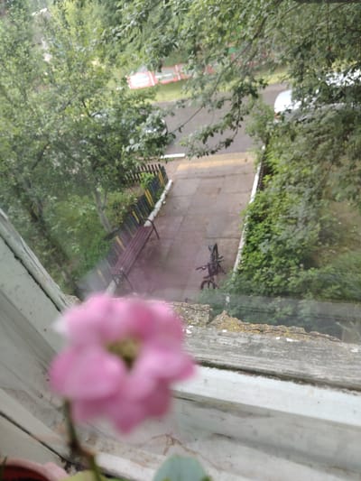 The image, taken from a window on a cloudy day, provides a view of an outdoor scene in the Zayamanawski Sel'ski Savet, Belarus. In the foreground, a blurred pink flower is visible in a pot, partially obscuring the window frame. Beyond the window, a paved pathway runs diagonally from the upper right to the lower left. To the left of the pathway, a wooden bench with a metal frame is situated, backed by a colorful fence with vertical posts in yellow, blue, and green. A bicycle is parked on the pathway near the bench. Beyond the pathway and fence, lush green foliage and trees dominate the landscape, with glimpses of a white car and part of a red and white structure in the background. The ground appears damp, suggesting recent rain.
