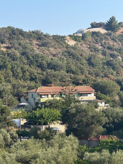 This image captures a scenic view in the Municipal Unit of Sfakiates, Greece, on a clear day with a bright blue sky. The foreground is dominated by lush green olive trees. In the mid-ground, a multi-story building with a terracotta roof is nestled into a hillside covered with dense green trees and vegetation. The building features balconies, windows, and what appears to be laundry hanging out to dry. There is a white umbrella on a patio area. Adjacent to the building, a smaller structure with a terracotta roof is visible. A stone wall separates the mid-ground from the lower section of the property. A utility pole with wires is present on the left side of the frame, and a large water tank is situated behind a stone wall. Two cars are visible, one darker colored and parked behind the stone wall, and a second, lighter colored car parked further back and to the right. The background consists of a steep, wooded hillside that rises towards a rocky, lighter-colored peak. The overall impression is one of a tranquil, rural setting in a mountainous region.