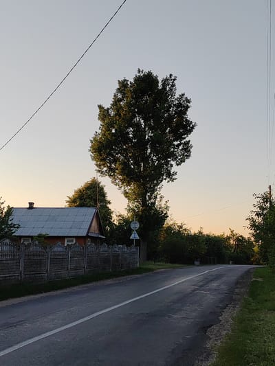 This media file depicts a rural roadside scene in Воўчынскі сельскі Савет, Belarus, at dusk. The road, asphalt with a white line down the center, curves gently to the right, bordered by grassy verges. On the left side of the road, a traditional wooden fence with ornate carvings separates the roadway from a property featuring a red house with a grey, corrugated roof and a brick chimney. A large, leafy tree stands prominently in the middle ground, its branches reaching towards the sky. Further back, dense green trees and bushes line the landscape, creating a natural backdrop. Power lines are visible crisscrossing the sky, and a small, circular road sign with a white border and blue and white symbols is present near the large tree. The sky displays a gradient of soft colors, transitioning from a pale yellow near the horizon to a light blue overhead, indicating the end of the day. The overall atmosphere is peaceful and serene, capturing the quiet beauty of the Belarusian countryside at twilight. No people are visible, and no text is decipherable.