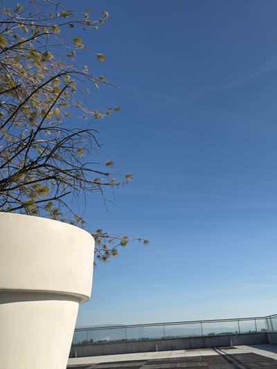 The image shows a clear blue sky with a few wispy clouds. A tree with sparse leaves and bare branches is in the lower left corner. A rounded, white structure occupies the lower right corner. A building with glass panels and stone accents runs vertically along the right edge of the image.