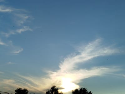 This is a landscape photograph of a sky with scattered clouds and silhouettes of trees at the bottom. The sky is a gradient of blue, transitioning from a lighter shade near the horizon to a deeper blue at the top. Wispy white clouds are present throughout the sky, with a more prominent concentration of clouds near the bottom where the sun is beginning to set or rise, casting a bright, diffused glow. The sun itself is not directly visible but its intense light is illuminating the clouds from behind.
Silhouetted against the bright sky are the tops of several trees, their dark forms providing a contrast to the light and airy clouds. The trees appear to be deciduous, with dense foliage. In the far distance, there are hints of man-made structures, possibly a fence or netting on the left side.
Numerous small dark specks are visible in the sky, appearing to be birds in flight. Their scattered distribution suggests a flock or individual birds moving across the open sky.
The time of day is clearly either sunrise or sunset, indicated by the low angle of the sun and the warm, diffused light. The weather appears to be fair, with clouds present but not heavy or threatening. The overall mood is serene and natural, capturing a moment of tranquility in a rural or semi-rural setting. The location cues, such as the type of trees and the vastness of the sky, are consistent with an open landscape. There is no visible text in the image.
