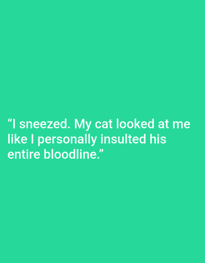 The image contains a turquoise background with white text. The text reads: "I sneezed. My cat looked at me like I personally insulted his entire bloodline." There is no discernible location in the city of Kępno, Poland.