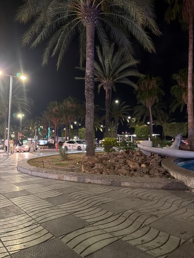 The image depicts a nighttime scene on a street lined with palm trees in Sant Antoni de Portmany, Spain. The perspective is from a sidewalk with a patterned stone pavement. On the right side of the frame, a retaining wall with rough stones and a curved concrete edge is visible. Beyond the palm trees, there are hints of buildings and streetlights, with some colorful lights suggesting decorations. A white vehicle, possibly a taxi, is parked further down the street. In the foreground and middle ground, several people are seated at outdoor tables, some illuminated by streetlights, indicating an active nightlife or dining scene. The overall atmosphere is lively and characteristic of a Mediterranean coastal town at night.