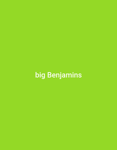 The image displays a solid lime green background, color code approximately #7CFC00. Centered on this background, the text "big Benjamins" is rendered in white, uppercase and lowercase sans-serif font. No physical objects, individuals, actions, interactions, or environmental features are present. The image does not depict any discernible location, including the city of Dan Maliki, Nigeria.