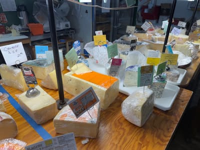 A wooden table showcases a variety of cheeses, each wrapped in plastic and labeled with signs on metal stands. The cheeses vary in color and texture, ranging from light yellow to blue-veined. Some are in rectangular blocks, while others are in wedges. A blue tape runs across the table's edge. Behind the display, appliances and containers are visible.