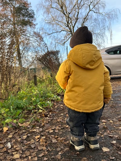 This image depicts a young child viewed from behind, standing outdoors in what appears to be a natural, unpaved area in Voskresensk, Russia. The child is dressed for cool weather, wearing a mustard yellow puffer jacket, dark grey jeans, a dark brown knit beanie, and black and white athletic shoes. Their posture suggests they are looking downwards, possibly at the ground or something in their immediate vicinity, indicating curiosity or quiet observation.

The setting features ground heavily covered with dry, brown fallen leaves, characteristic of late autumn or early winter. Patches of vibrant green foliage are visible among the leaves. In the background, bare deciduous trees with intricate branch patterns stand against a bright blue sky with scattered white clouds. Other trees with more dense, darker foliage are also present. A light-colored vehicle, possibly a car or SUV, is partially visible in the upper background, parked on an unseen surface, hinting at proximity to a road or path. The scene conveys a sense of peaceful outdoor exploration on a clear, chilly day. There is no visible text in the image.