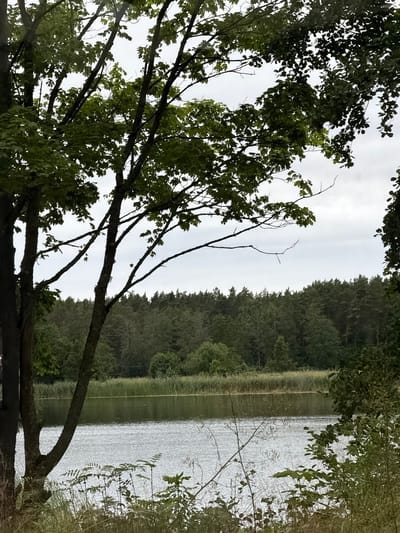 The image depicts a serene natural scene in Varkaļi, Latvia. The foreground is dominated by the branches and leaves of a deciduous tree, which frame the view of a calm lake. The lake's surface is rippled, suggesting a gentle breeze. On the opposite shore of the lake, a dense forest of evergreen trees stretches along the horizon. The sky is overcast, indicating a cloudy day. The lighting is diffused, typical of a day with cloud cover. The overall mood is peaceful and tranquil, characteristic of a natural landscape. There are no people or objects visible, and no text is present in the image. The scene captures a moment of quietude in a forested, lakeside environment.