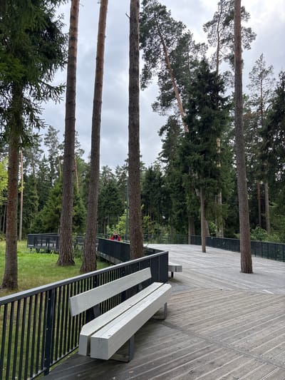 An elevated wooden walkway winds through a forest of tall pine and fir trees. The walkway has a dark metal railing along its edges. Several light-colored, angular benches are placed on the walkway. In the background, a person wearing a red jacket and a hat is visible walking on a section of the walkway. The ground beneath the walkway is covered in green grass. The sky is overcast with gray clouds. The scene appears to be a park or nature reserve within Pavlovskaya Sloboda, Russia.