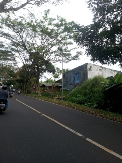 The image displays a street scene in Sat Thay (East), Myanmar. A dark asphalt road with a faded, broken white center line extends diagonally from the lower left to the upper right. Multiple motorcyclists, wearing helmets, are visible from behind on the left side of the road, proceeding away from the viewer; the nearest rider is clad in a blue denim jacket. The left side of the road is bordered by a line of tall trees with dense green foliage. On the right, an elevated, weathered building with a blue door and external stairs overgrown with dense green vegetation is situated on a steep embankment. The building's lower section is a dark, possibly corrugated material, while the upper section is light-colored. To the left of this structure, a simpler, single-story building with a light roof is partially visible. A grey street light pole stands between the road and the buildings on the right. The overall environment features abundant green vegetation and an overcast sky.