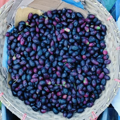 A top-down, close-up shot captures a plentiful mound of Jamun fruits (also known as Java Plum or Black Plum) filling a round, woven basket. The fruits exhibit a rich palette of deep purplish-black hues, with some displaying reddish tones and a few still showing hints of green, especially near the stem remnants, indicating varying stages of ripeness. Their surfaces appear slightly plump and somewhat uneven. Small, slender green stems are visible among the dense collection of fruits.

The basket, crafted from a light-colored, natural woven material, features a distinct crisscross pattern and appears to be reinforced or decorated with thin, yellow-colored ties along its rim and red ties on its exterior sides. Pieces of cardboard are visible beneath and around the fruits, serving as a base or cushioning, with sections of blue material (possibly plastic or cloth lining) peeking out from the edges of the basket. The scene strongly suggests a market stall or a local vendor's display of fresh produce. No people or activities are explicitly shown, emphasizing the fruits themselves. There is no visible text.