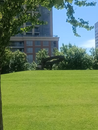 The image depicts an outdoor scene with a large expanse of green grass in the foreground. In the mid-ground, there is a dark, abstract sculpture composed of curved metal pieces. Behind the sculpture, lush green trees form a dense backdrop. Beyond the trees, modern buildings rise, characterized by multiple stories, balconies, and large windows. One building appears to be constructed with red brick and glass, while another is predominantly glass and white. The sky above is a clear blue, suggesting a daytime setting.
The composition suggests a park or public space within an urban environment. The sunlight appears bright, casting subtle shadows and illuminating the vibrant green of the lawn and trees. The overall atmosphere is peaceful and serene. There is no visible text in the image. The location context is Mississauga, Canada.