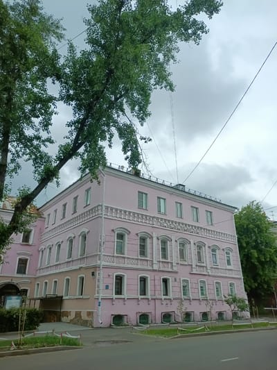This is a full-shot, eye-level, outdoor photograph taken on a cloudy day in Irkutsk, Russia. The subject is a large, pink, three-story building with white decorative trim and many windows. The building is situated on a street, with a sidewalk and some greenery in the foreground. A large tree with green leaves partially obscures the upper left portion of the building. The sky is overcast and grey. The building appears to be historic, with architectural details suggesting a late 19th or early 20th-century construction. The building is part of a streetscape, with other parts of buildings and trees visible to the right and in the background. A sign in Russian is visible on the left side of the building, partially obscured by the tree. There are no people visible in the image.