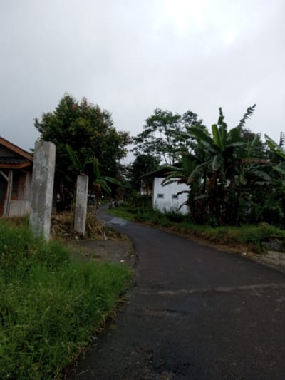 An outdoor scene in Serpang Shalli, Bhutan, features a curving asphalt road under an overcast, light grey sky. In the immediate foreground on the left, overgrown green grass borders the roadway. To the left of the grass, a section of a house with a brown tiled roof and light-colored walls is visible, flanked by two weathered, upright concrete posts. The dark grey asphalt road curves towards the right and recedes into the distance, showing some surface wear. On the right side of the road, a white, single-story building with small rectangular window openings is partially concealed by dense green vegetation, including prominent banana plants. Further along the curving road in the midground, a blurry figure is visible operating what appears to be a motorcycle or scooter. The background and surrounding areas are filled with various lush green trees and foliage. No other individuals or active interactions are clearly discernible within the static scene.