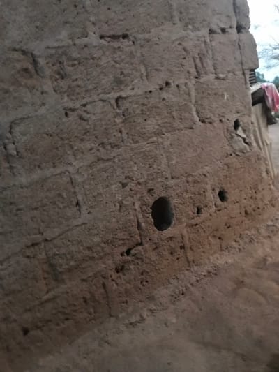 The image presents a close-up, upward-angled view of a weathered wall in Ago-Abo, Nigeria. The wall is constructed from rough, earthy-toned materials, possibly mud bricks or coarse concrete blocks, exhibiting a heavily textured and eroded surface. Visible lines suggest the individual blocks used in its construction.
Several holes of varying sizes are prominent features on the wall's surface. A large, dark, oval-shaped hole is situated in the upper-middle section, with a smaller circular hole above and to its left. Numerous other smaller indentations and imperfections dot the entire wall, suggesting natural wear, degradation, or possibly the remnants of previous fixtures.
At the very top edge of the image, beyond the wall, a bright, diffuse light indicates daytime. A glimpse of distant foliage, likely a tree, is visible against the sky. Additionally, a fragment of what appears to be another structure or a roofline is present, with a piece of reddish-pink fabric draped over it.
The scene is static, devoid of any visible human or animal activity. The rustic construction materials and weathered appearance suggest an older structure within a rural or traditional setting. There is no visible text in the image.